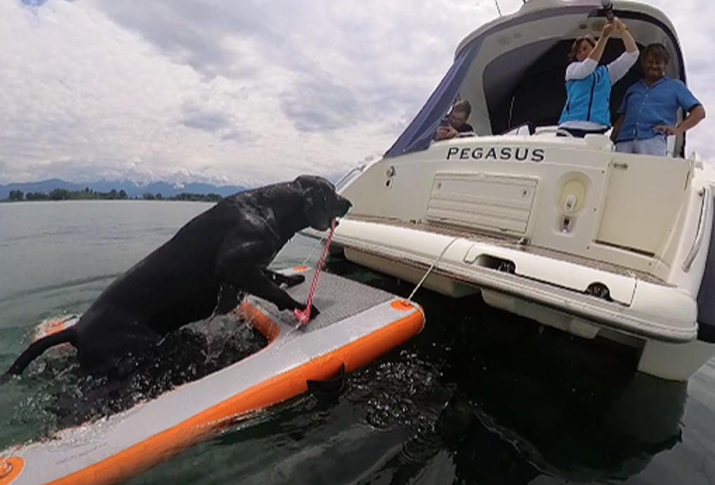 Bildschirmfoto 2025 07 27 Um 15.18.43