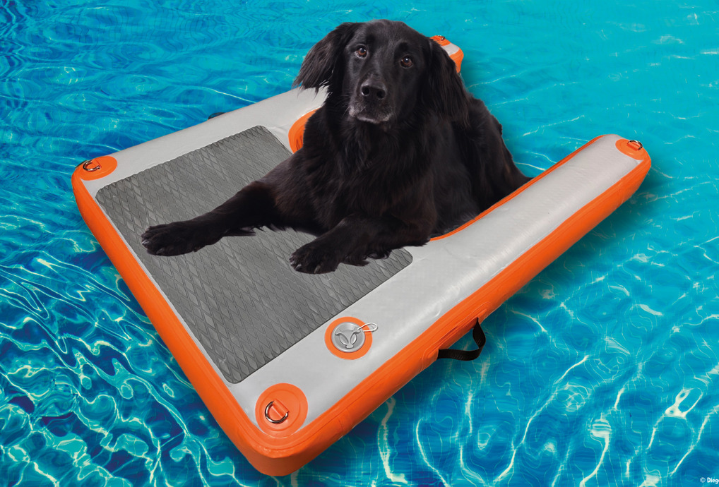 Dog Ramp Badeleiter Fuer Hunde