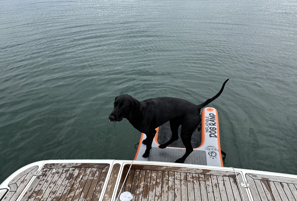 DJI 20250709 132252 742